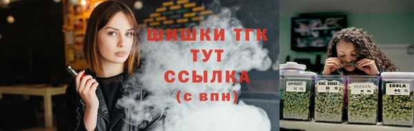 прущие грибы Ладушкин