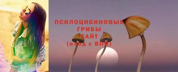 хмурый Кострома