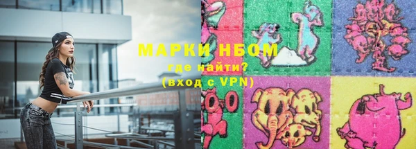прущие грибы Ладушкин