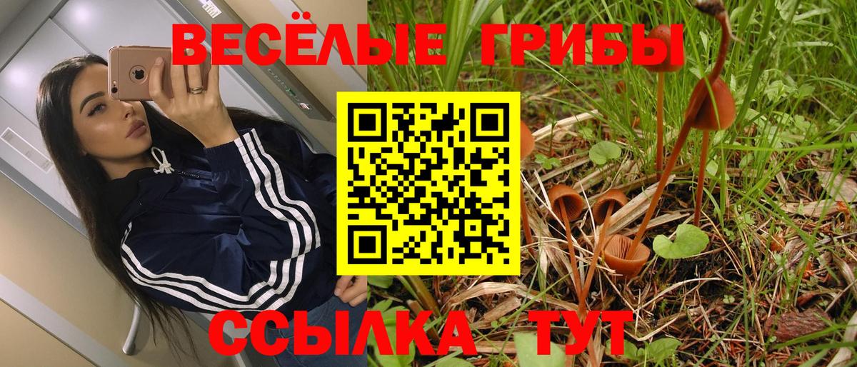 Псилоцибиновые грибы прущие грибы Усть-Кут